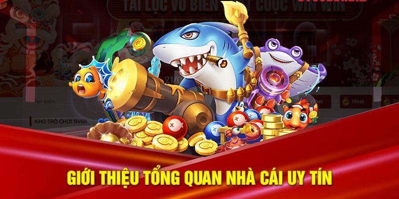 Giới thiệu tổng quan về nhà cái Rio6